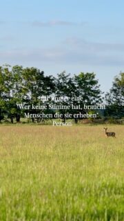 Politik beginnt dort, wo wir Verantwortung füreinander übernehmen.
Für die, die Unterstützung brauchen. Für die, die nicht gehört werden. Für eine Gesellschaft, die niemanden zurücklässt. 💚♿️🌈
Dafür stehen wir. 💚🌻
#grüne #osterholz #wahl #hilfe #wir