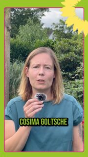 Ein Begriff. Ein Wort. 💚
Heute ist Cosima Goltsche an der Reihe. Wie reagiert sie auf unsere Begriffe? Spontan, ehrlich und mit nur einem Wort. 🎥

Jetzt reinschauen!

#Grüne #LandkreisOsterholz #Kommunalwahl #GrünWählen #fürmorgen