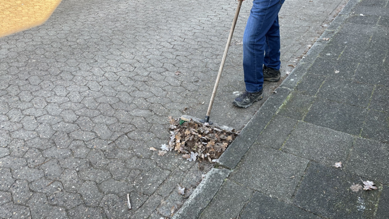 Arbeitspflicht für Asylbewerber*innen??